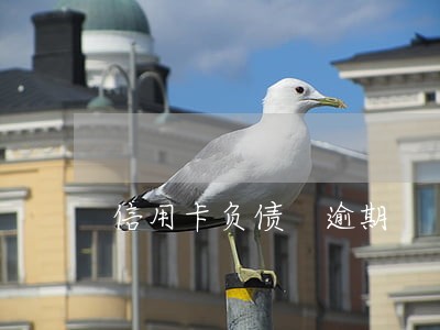 信用卡负债 逾期 信用卡负债 逾期